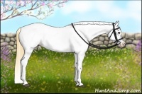 Horse Color:Buckskin Near Leopard  Brindle