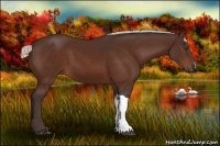 Horse Color:Silver Brown 