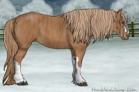 Horse Color:Chestnut  Brindle