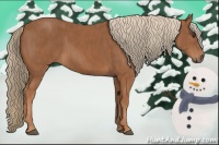 Horse Color:Chestnut  Brindle