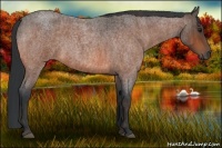 Horse Color:Bay Roan  Brindle
