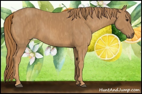 Horse Color: Chestnut  Brindle