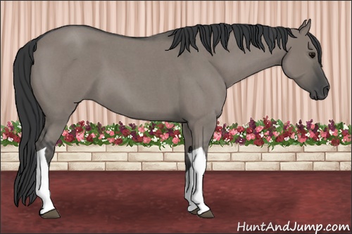 Horse Color: Grullo Roan Tobiano 