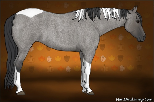 Horse Color: Grullo Roan Tobiano 