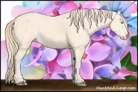 Horse Color:Perlino Brindle