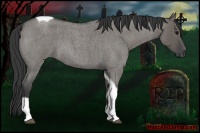 Horse Color:Grullo Roan Tobiano 