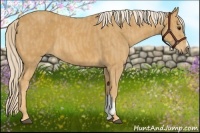 Horse Color:Palomino Brindle