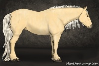 Horse Color:Palomino Tobiano  Brindle