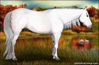 Horse Color:Gray Bay Brindle
