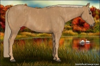 Horse Color:Chestnut  Brindle