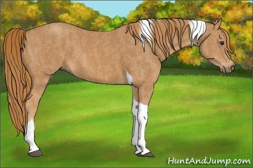 Horse Color: Chestnut Tobiano Rabicano  Brindle