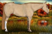 Horse Color:Red Dun  Brindle