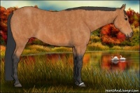Horse Color:Bay  Brindle