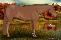 Horse Color:Chestnut  Brindle
