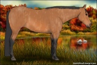 Horse Color:Bay  Brindle