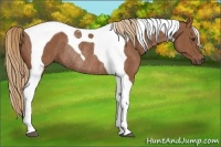 Horse Color:Chestnut Tobiano Rabicano Brindle