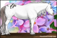 Horse Color:Brown Varnish Rabicano  Brindle