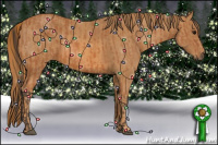 Horse Color:Bay Rabicano  Brindle