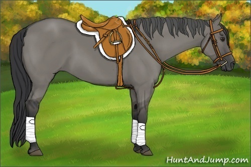 Horse Color:Grullo Rabicano 