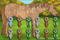 Horse Color:Red Dun Roan Brindle