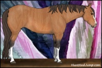 Horse Color:Bay Splash Frame  Brindle
