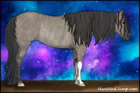 Horse Color:Grullo Rabicano  Brindle