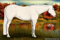 Horse Color:Cremello  Brindle