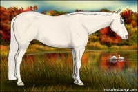 Horse Color:Cremello Brindle