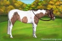 Horse Color:Brown Tobiano Rabicano  Brindle