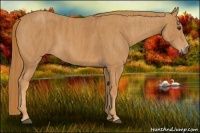 Horse Color:Chestnut  Brindle
