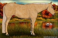 Horse Color:Palomino  Brindle