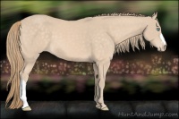 Horse Color:Perlino 