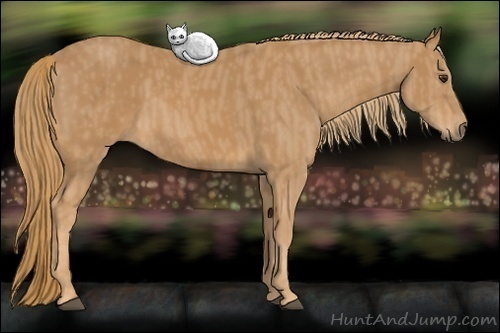 Horse Color: Chestnut  Brindle