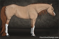 Horse Color:Red Dun  Brindle