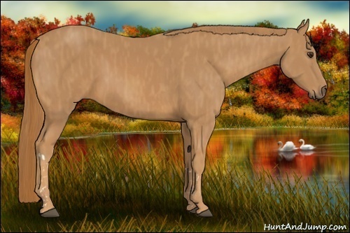 Horse Color: Chestnut  Brindle