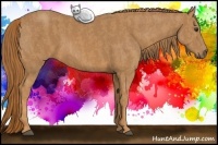 Horse Color:Chestnut Rabicano  Brindle