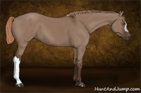 Horse Color:Liver Red Dun 