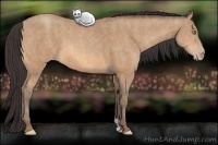 Horse Color:Amber Champagne Brindle