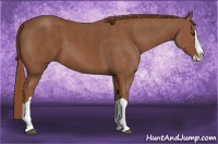 Horse Color:Chestnut Splash  Brindle