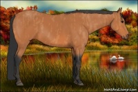 Horse Color:Bay  Brindle