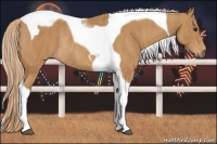 Horse Color:Chestnut Tobiano Rabicano  Brindle