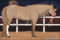 Horse Color:Red Dun Brindle