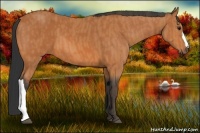 Horse Color:Bay  Brindle