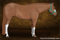 Horse Color:Chestnut  Brindle