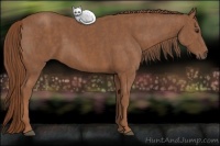 Horse Color:Chestnut Brindle
