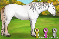 Horse Color:Gray Chestnut  Brindle