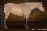 Horse Color:Bay Dun  Brindle