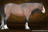 Horse Color:Brown Roan Splash 