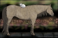 Horse Color:Smoky Grullo  Brindle