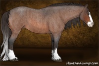 Horse Color:Brown Roan Splash Brindle
